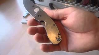 Spyderco TitanFramelock Sage 2 Techno [upl. by Hollinger313]