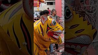 Peddapuli 🐯🐯 👉Moharam Festival 👉 korutla 🐯dance viral [upl. by Alger500]