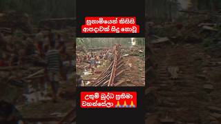 සුනාමියෙන් විනාශ නොවූ බුද්ධ ප්‍රතිමා වහන්සේලා 🙏🙏 buddha buddha sunami srilanka sinhala shots [upl. by Meda]