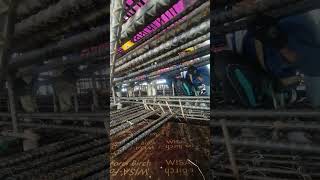 Rebar crossbeam bridgeconstruction construction moktv 2024 pylon bridge [upl. by Mapel]