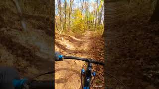 Couple short fast jump lines at Cunningham Bike Park Queens NY [upl. by Ahsayn]