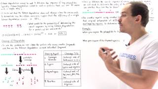 Sequencing Amino Acids by Proteolytic Cleavage [upl. by Ingaberg]