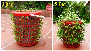 Useful Tips amp Tricks Gardening Ideas for Home Vegetable for Beginners [upl. by Yarw]