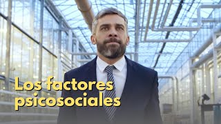 Qué son los factores psicosociales [upl. by Duff]