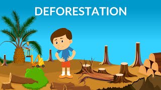 Deforestation  Causes Effects amp Solutions  Video for Kids [upl. by Nitsrek96]