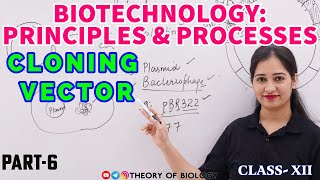 Cloning Vector Plasmid vector pBR322 VECTOR ClassXII Biotechnology NCERT BIOLOGY Neet exam [upl. by Abercromby200]