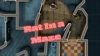 Rat in a Maze doorkickers [upl. by Desmund]