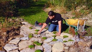 Plantas para caminos de jardín  Bricomanía  Jardinatis [upl. by Eerak]