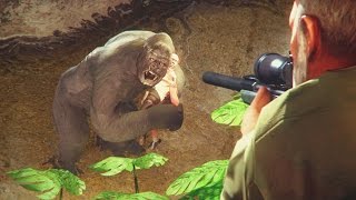 HARAMBE The True Story – SFM Animation [upl. by Higginson]