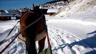 Ski joëring aux Saisies [upl. by Ermey]