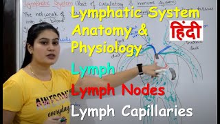 Lymphatic System in Hindi  Lymph  Lymph Nodes  Lymph Vessels  Anatomy amp Physiology [upl. by Aindrea]