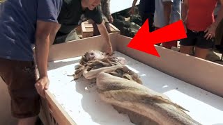 10 REAL LIFE MERMAIDS Caught On Camera [upl. by Notxarb]