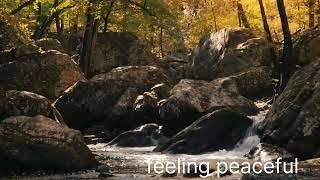 relaxing songmeditation musiclove enjoyable [upl. by Arihsa]