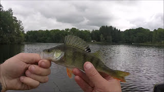 Pêche de la perche Neuvic au leurre souple GoPro [upl. by Normandy]