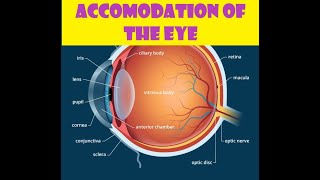 Accommodation of the Eye [upl. by Harriott]