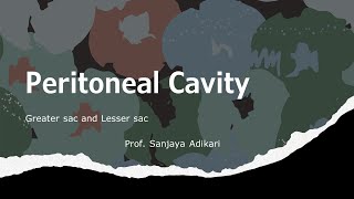 Peritoneal Cavity [upl. by Hagan]