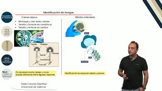 63 Micotoxinas en alimentos [upl. by Ayirp]