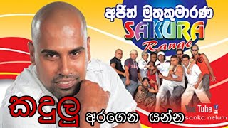 කදුලු අරගෙන යන්න kadulu aragena yanna  ajith muthukumarana [upl. by Htiekram]