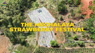 The Meghalaya Strawberry festival 2024 [upl. by Aliahkim]