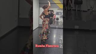 Dança Flamenca Iniciante em Copacabana Centro de Artes Nós da Dança  CAND [upl. by Zed]