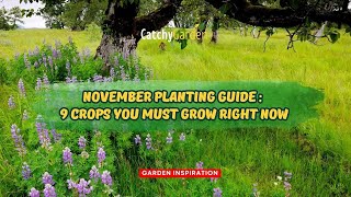 November Planting Guide 9 Crops You Must Grow Right Now 🌷🌸🌹  Gardening Ideas [upl. by Vivianne]