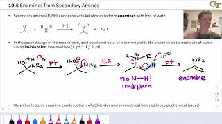 Reactions of Amines with Ketones and Aldehydes Enamine Formation [upl. by Aihsatal650]