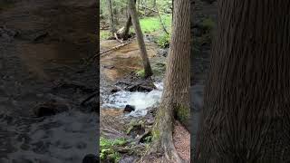 Beautiful Ocqueoc Undergrounds in Northern Michigan shorts undergroundrivers travel [upl. by Gitt]