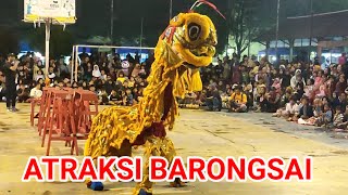 ATRAKSI BARONGSAI 🔴 Live alun alun Sukowono  Jember [upl. by Corb]