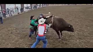 Bullfighters Save BullRider Michigan rodeo usa bullfighters [upl. by Nueormahc]