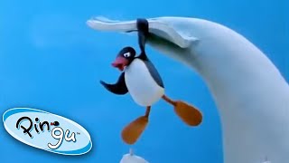 Pingu and the Giant Ice Whale Pingu  Official Channel Cartoons For Kids [upl. by Scotty]