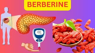 Unbelievable Berberine Benefits Shed Pounds amp Regulate Blood Sugar [upl. by Ahserb]