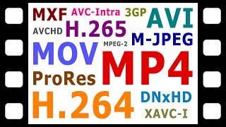 Explaining Digital Video Formats Codecs amp Containers [upl. by Vannie]