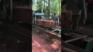 Milling cedar for projects woodworking wood diy tree cedarwood sawmill woodlandmills [upl. by Nylirret779]