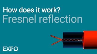 Fresnel Reflection  EXFO animated glossary of Fiber Optics [upl. by Richer933]