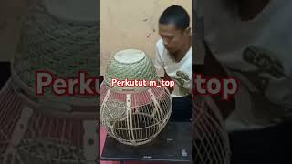 Cara pasang ruji sangkar burung perkutut [upl. by Bully]