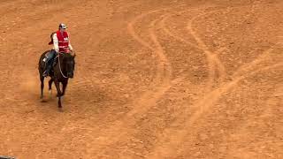 Reining Class  Fort Worth Stock Show Horse Judging Competition 2022 [upl. by Dlorag]