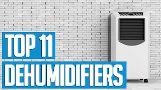 Best Dehumidifiers 2019  TOP 11 Dehumidifier 🌟 [upl. by Ajay]