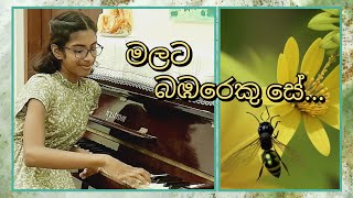 මලට බඹරෙකු සේMalata babareku sepiano cover [upl. by Cathey]