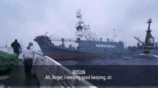 Sea Shepherd Radio Transmission Confirms Japanese Whaling Fleet Oil Tanker Spill [upl. by Anirak]