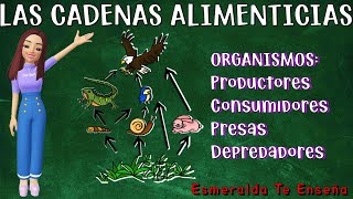 La Cadena Alimenticia [upl. by Aulea]