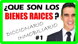 ¿Qué son BIENES RAICES o BIENES INMUEBLES definicion [upl. by Fancie]