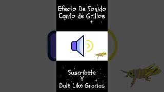 Crickets Sound Effect  Grillos Efecto de Sonido Shorts [upl. by Enoek]