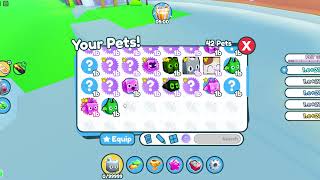 NEW Pet Simulator Z Uncopylocked Uptade [upl. by Ileyan813]