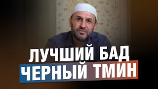 Черный тмин  лучший БАД  Саадуев МРасул [upl. by Nannek]