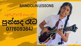 Punsanda rataපුන්සද රෑටmandolin lessons [upl. by Inahc]