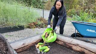 My Fast and Easy Compost Method [upl. by Carmel]