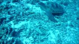 Gili Diving  July 2015  M83  Wait Kygo Remix [upl. by Nicoline658]