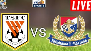 Shandong Taishan vs Yokohama F Marinos Match Prediction l AFC Champions League 2024 [upl. by Anirhtak]