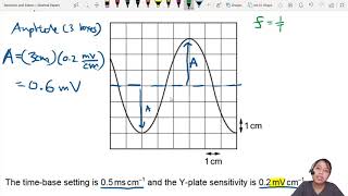 72a Ex2 MJ20 P12 Q23 CRO Readings  AS Waves  Cambridge A Level 9702 Physics [upl. by Calvin]