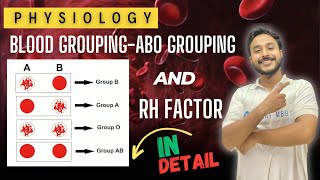 abo blood group physiology  rh antigen physiology  Erythroblastosis fetalis  physiology [upl. by Brunn]